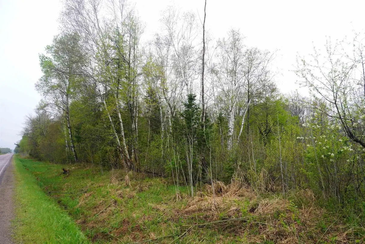 20 Acres N COUNTY ROAD X, Gleason, WI 54435 - #1