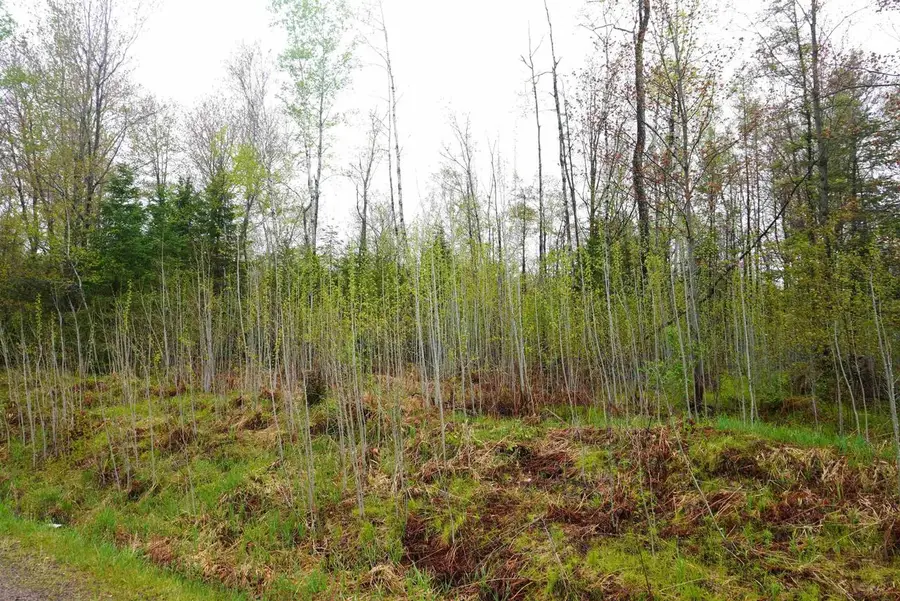 20 Acres N COUNTY ROAD X, Gleason, WI 54435 - #2