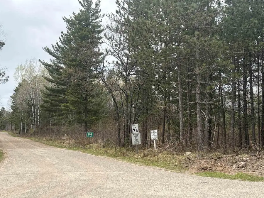 ON WILSON SCHOOL ROAD #On Zenith Tower Road, Tomahawk, WI 54487 - #3