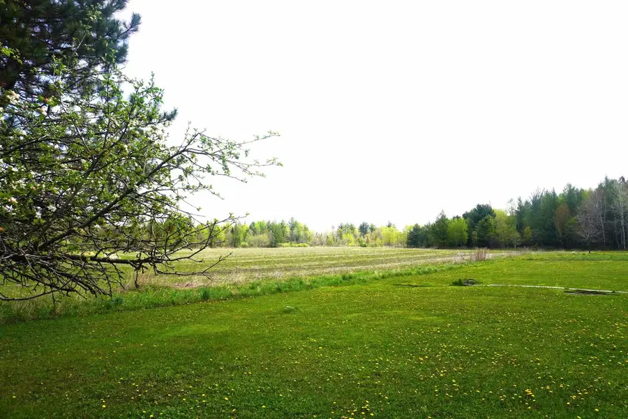20 Acres BRADLEY STREET, Gleason, WI 54435 - #2
