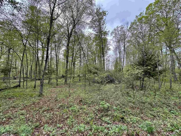 Lot 61 CHIP N DALE DRIVE, Pickerel, WI 54465
