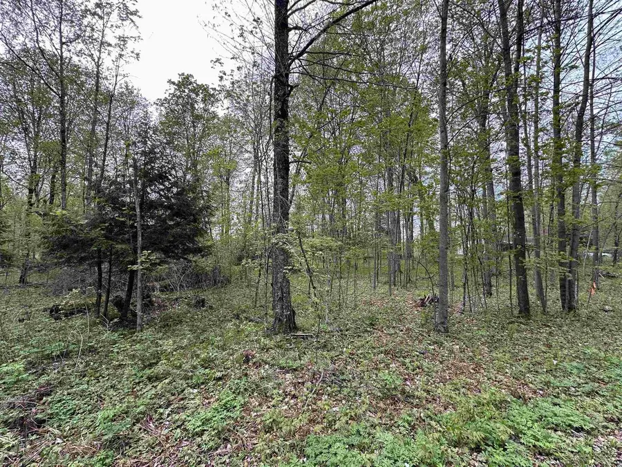 Lot 61 CHIP N DALE DRIVE, Pickerel, WI 54465 - #2