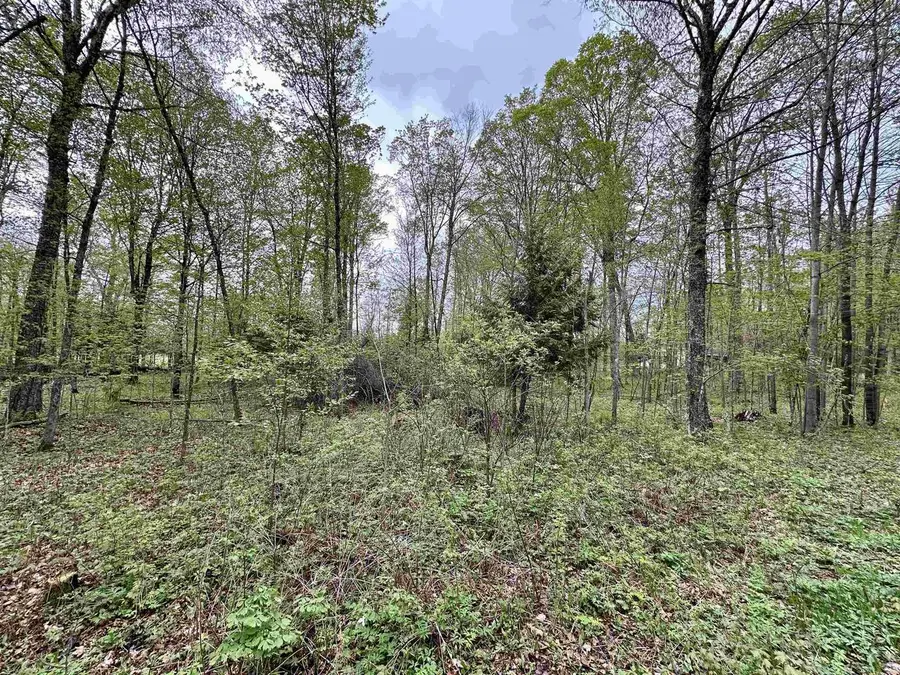 Lot 61 CHIP N DALE DRIVE, Pickerel, WI 54465 - #3