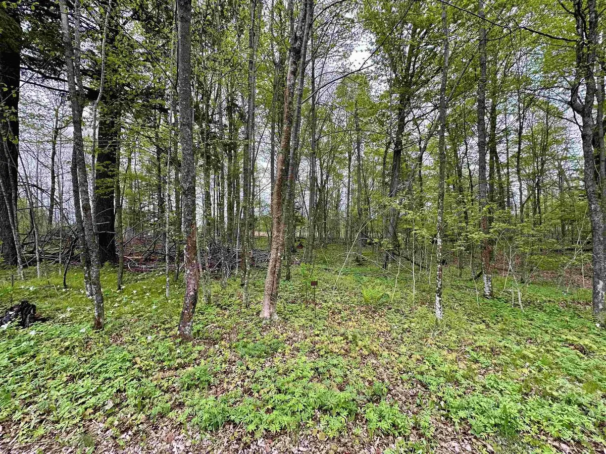 Lot 36 FAIRWAY DRIVE, Pickerel, WI 54465 - #1