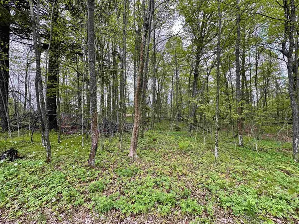 Lot 36 FAIRWAY DRIVE, Pickerel, WI 54465