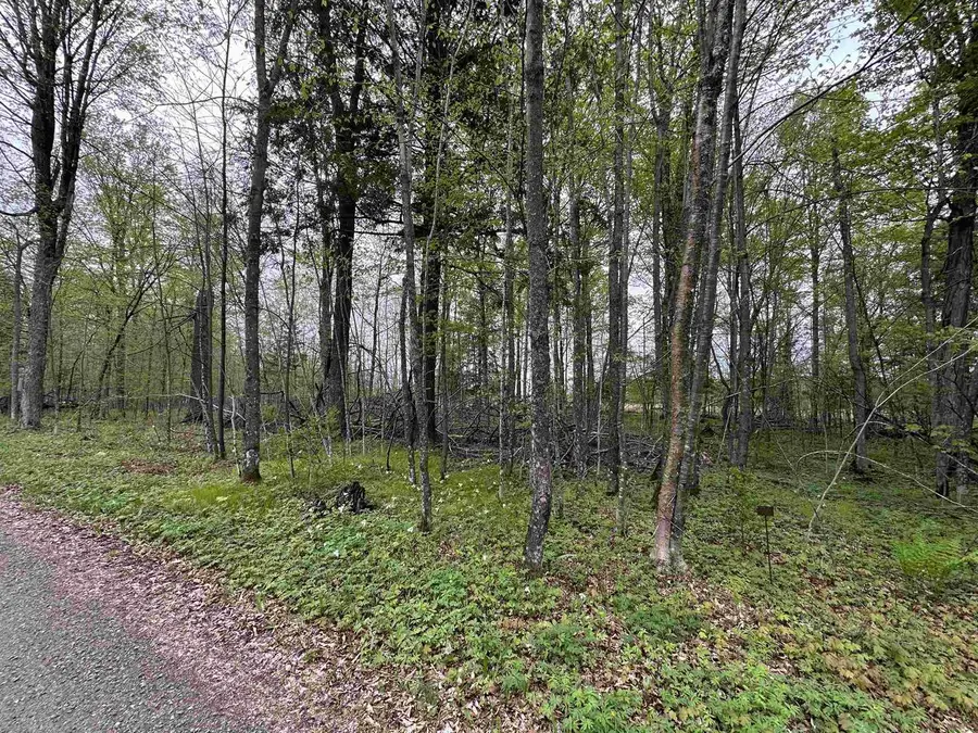 Lot 36 FAIRWAY DRIVE, Pickerel, WI 54465 - #2