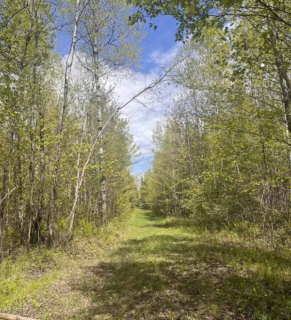 80 acres CLAUSEN ROAD, Prentice, WI 54556