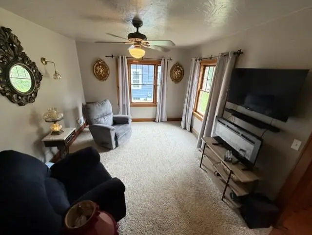 1203 ROYALTON STREET, Waupaca, WI 54981 - #3