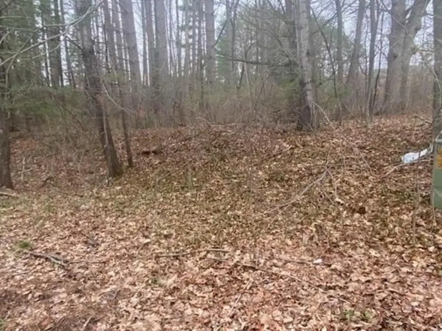 3836 WOODLAND RIDGE ROAD, Wausau, WI 54403 - #2