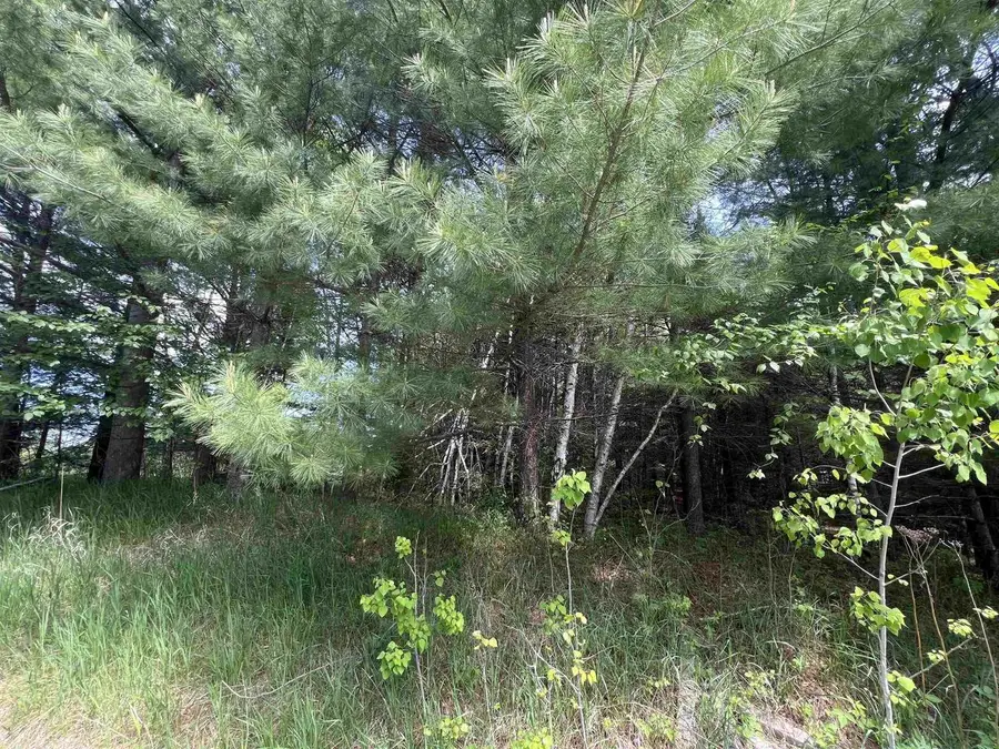 W4396 RUSSELL COURT, Merrill, WI 54452 - #2