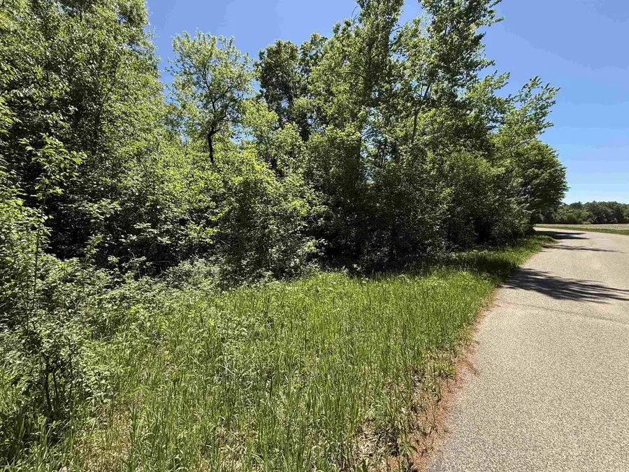 Lot 16 ARROWHEAD ROAD, Amherst Junction, WI 54407 - #3