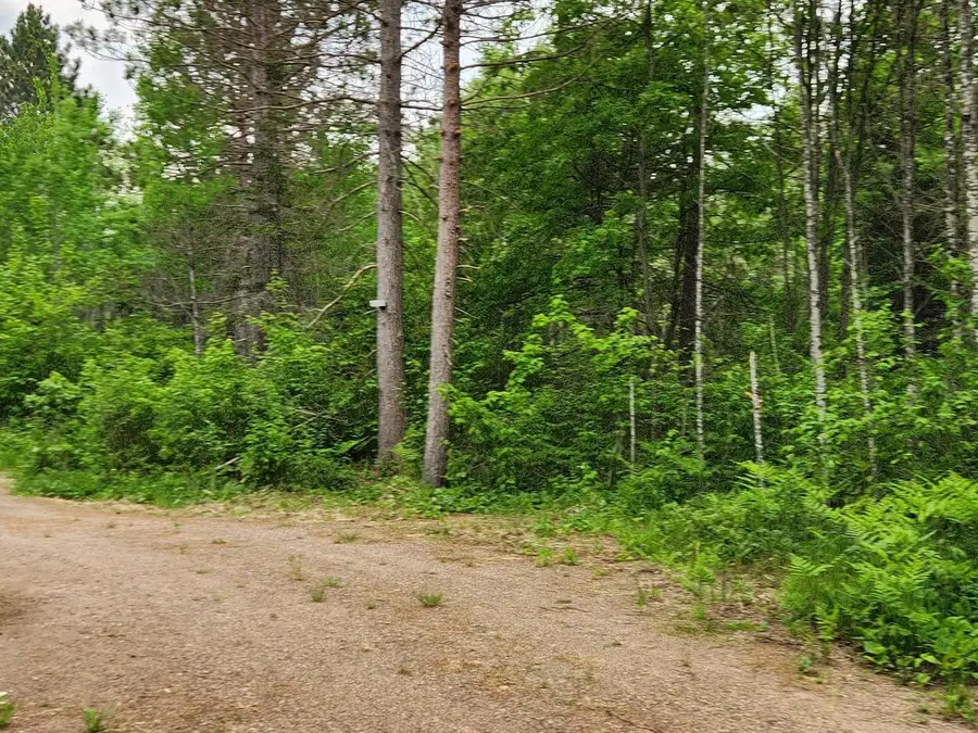 11339 BURROWS LAKE ROAD, Tomahawk, WI 54487 - #2
