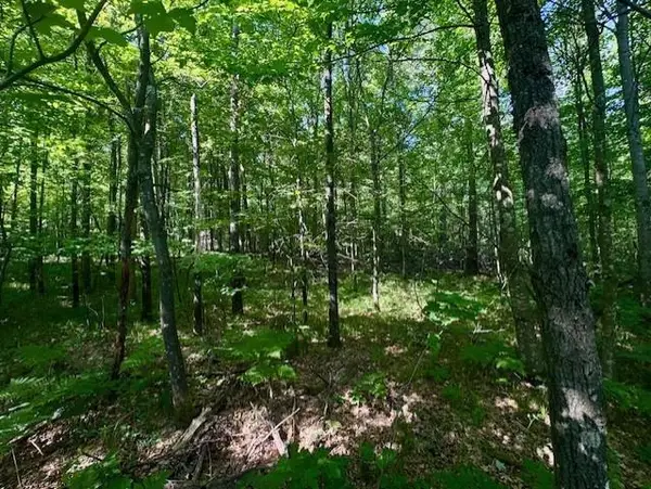 N8823 DICKERSON AVENUE, Willard, WI 54493