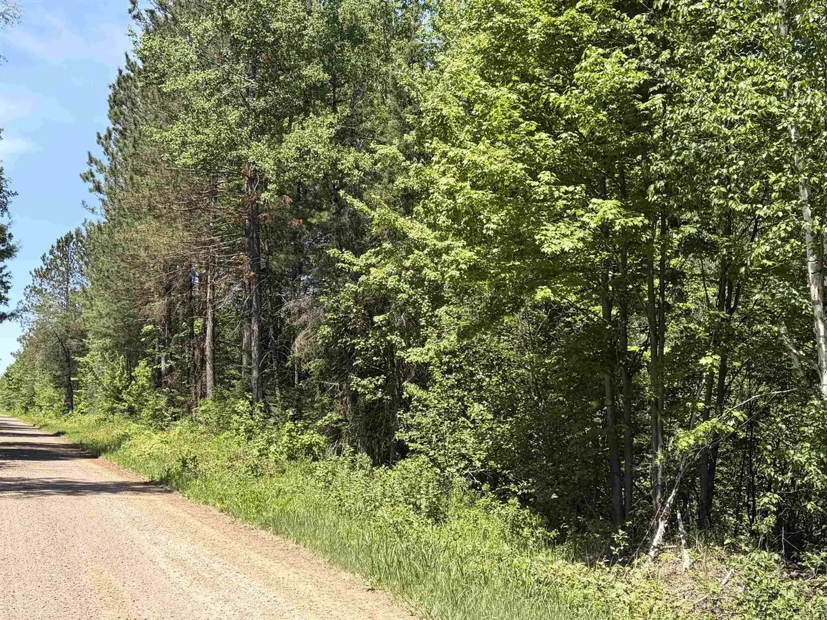 On WILSON SCHOOL ROAD, Tomahawk, WI 54487 - #1