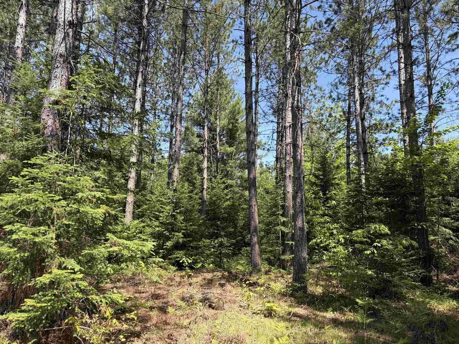 On WILSON SCHOOL ROAD, Tomahawk, WI 54487 - #3