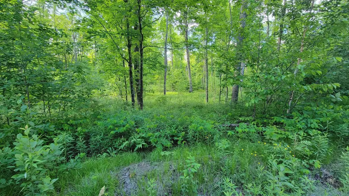 On BRADY LANE, Elcho, WI 54428 - #1
