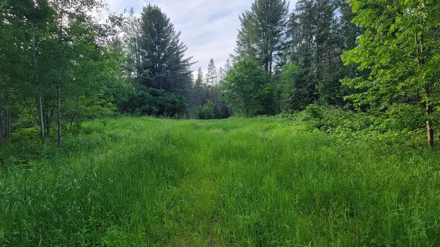 On BRADY LANE, Elcho, WI 54428 - #2