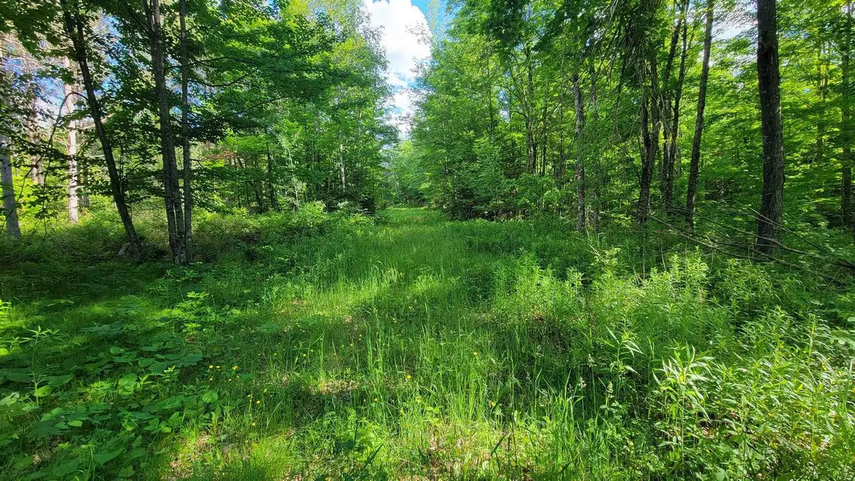 on HUNTING RIVER ROAD, Elcho, WI 54428 - #1