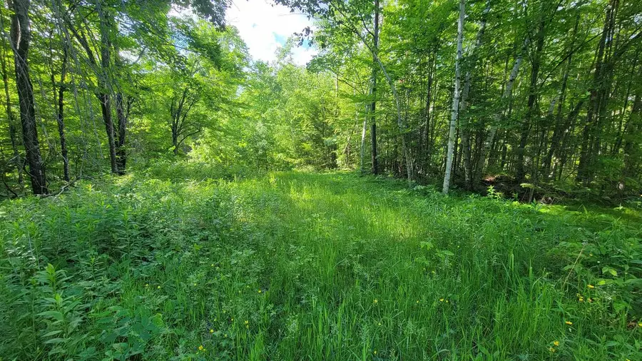 on HUNTING RIVER ROAD, Elcho, WI 54428 - #3