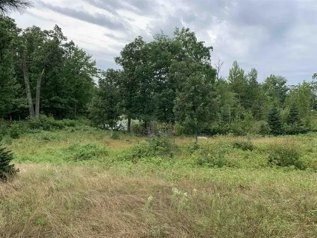 LOT 14 WOOD DUCK TRAIL, Saratoga, WI 54457 - #1