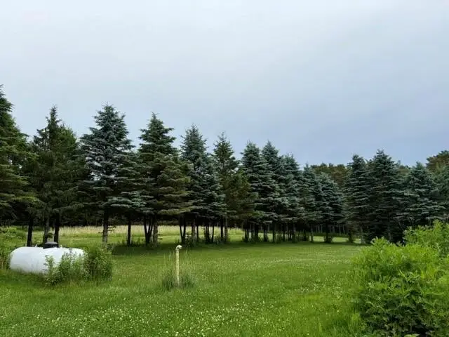 157014 RESTLAWN ROAD, Wausau, WI 54403 - #2