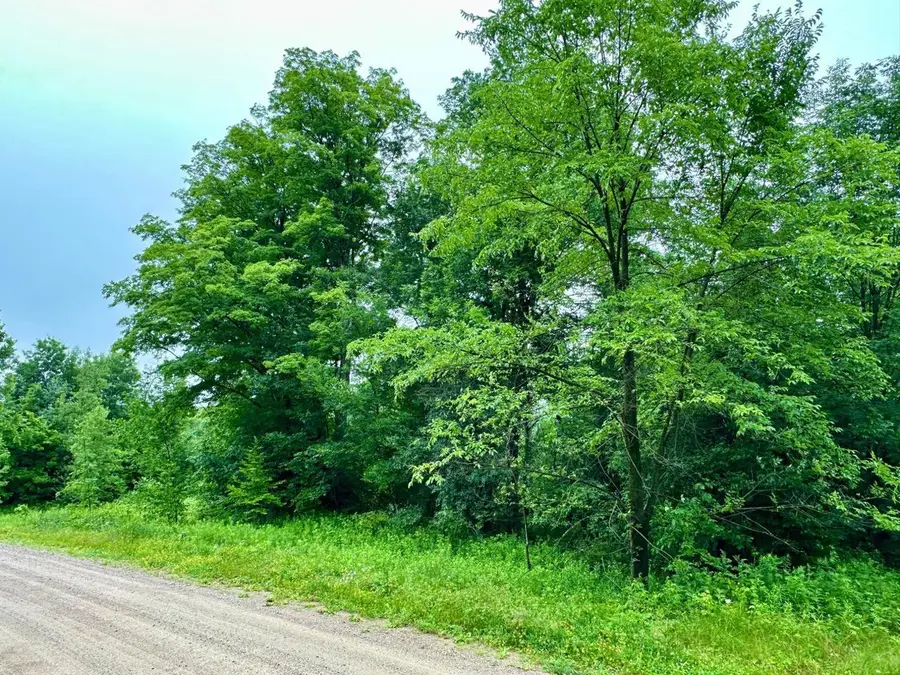 Lot 13 THORN APPLE DRIVE, Wittenberg, WI 54499 - #2