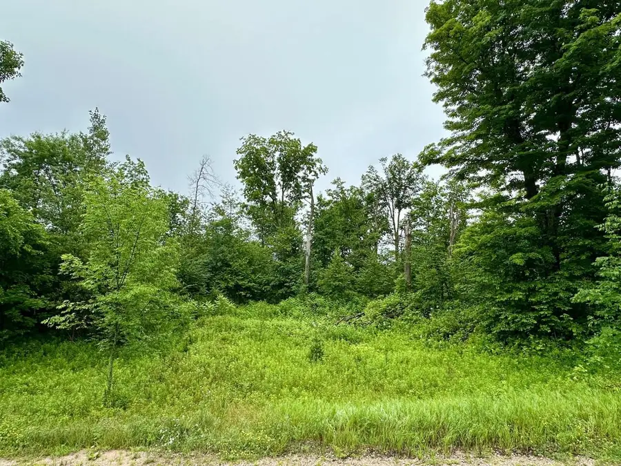 Lot 14 THORN APPLE DRIVE, Wittenberg, WI 54499 - #2