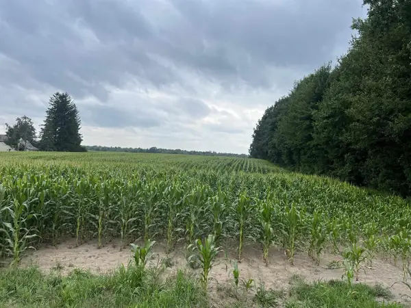 15 Acres DEER CREEK LANE, Marathon, WI 54448