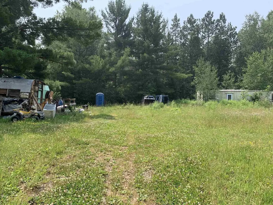 4441 STATE HIGHWAY 32, Laona, WI 54511 - #2