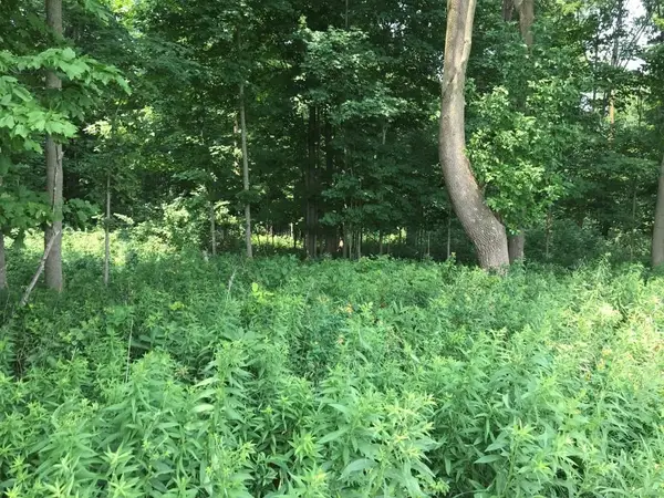 10 Acres LINCOLN DRIVE #139054, Athens, WI 54411