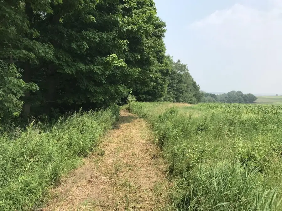 10 Acres LINCOLN DRIVE #139054, Athens, WI 54411 - #2