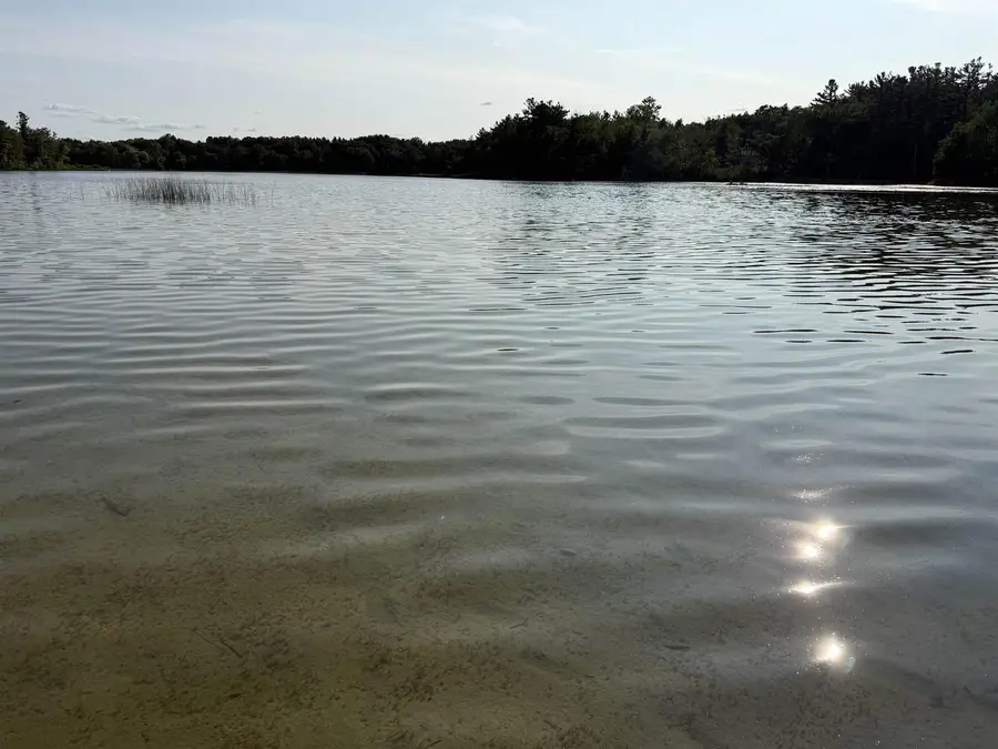 10379 NORTH LAKE ROAD, Amherst Junction, WI 54407 - #2