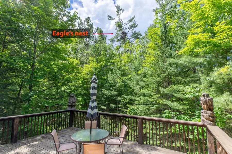 8790 EAGLES WAY, Pickerel, WI 54465 - #3