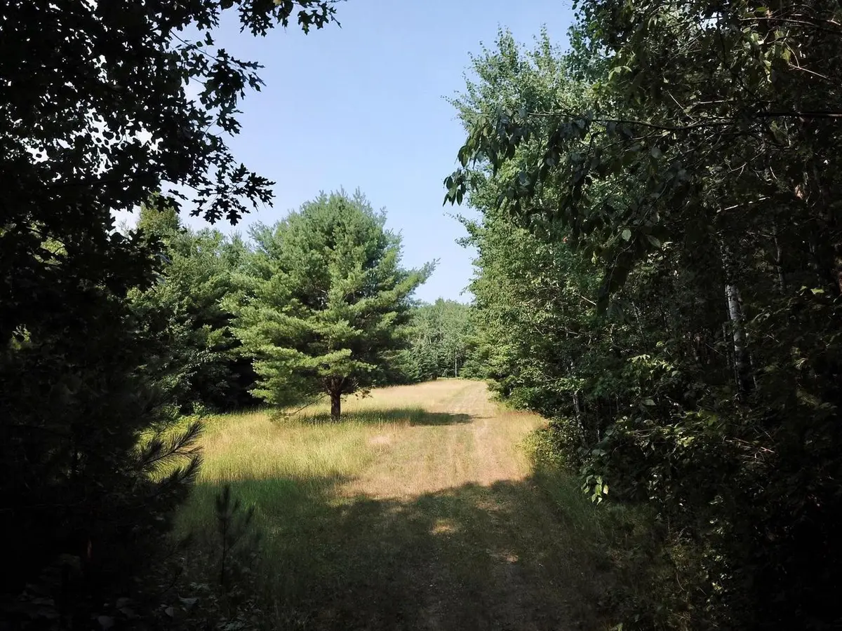 On OAK RIDGE ROAD, Harshaw, WI 54529 - #1