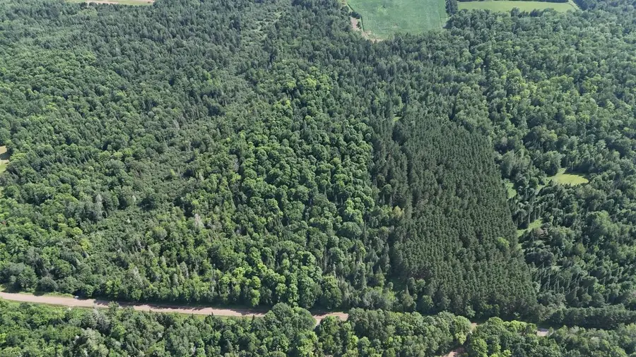 40 Ac SUNRISE ROAD, Merrill, WI 54452 - #3
