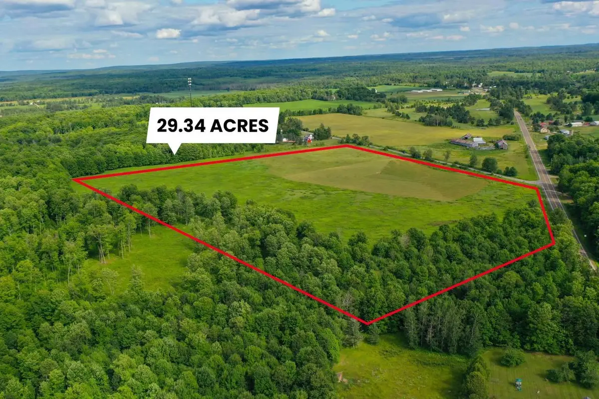 29.34 ACRES STATE HIGHWAY 55, Pickerel, WI 54465 - #1