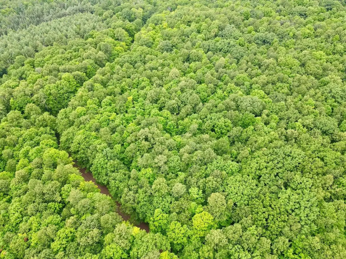 Lot 1 CRANE FOOT LAKE ROAD, Gleason, WI 54435 - #1