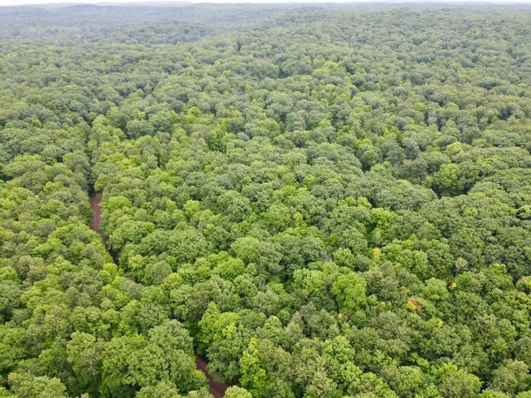 Lot 3 CRANE FOOT LAKE ROAD, Gleason, WI 54435