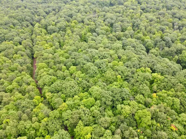 Lot 4 CRANE FOOT LAKE ROAD, Gleason, WI 54435
