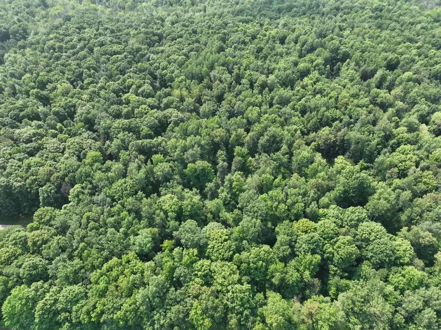 Lot 12 BURMA ROAD, Mosinee, WI 54455 - #3