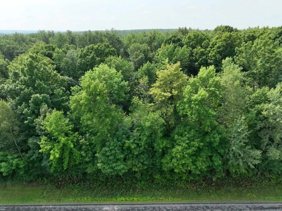 Lot 13 BURMA ROAD, Mosinee, WI 54455 - #2