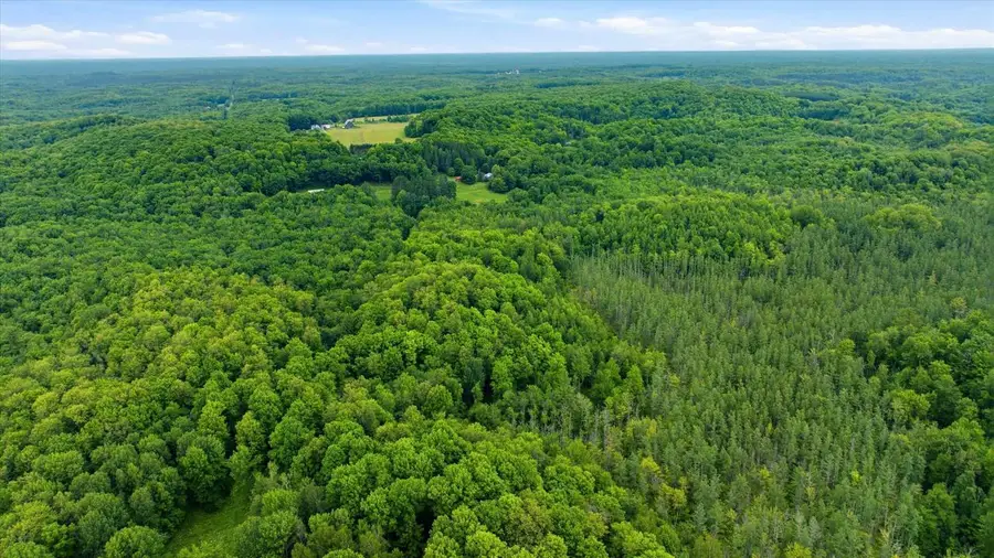 BRUSH CREEK ROAD, Medford, WI 54451 - #2