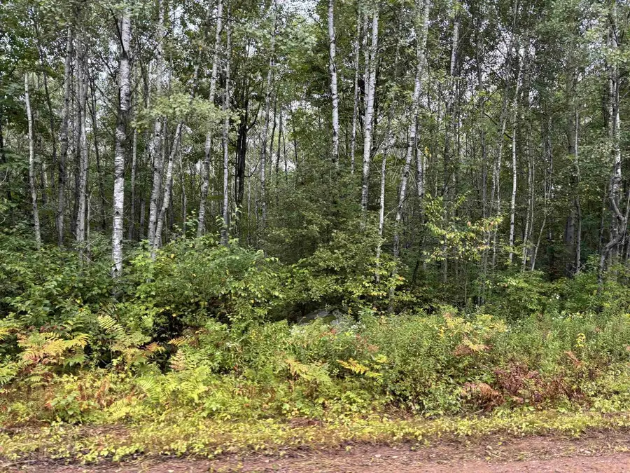ARMSTRONG CREEK ROAD, Tomahawk, WI 54487 - #2