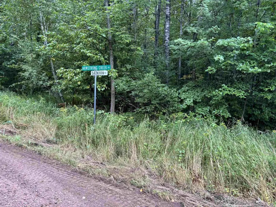 ARMSTRONG CREEK ROAD, Tomahawk, WI 54487 - #3