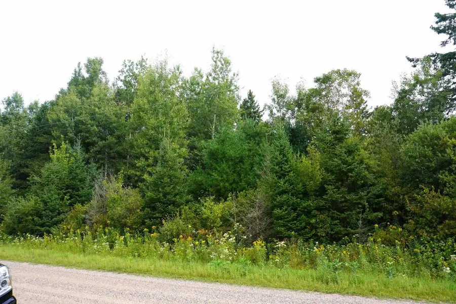 N-20 Acres RANGELINE ROAD, Deerbrook, WI 54424 - #2