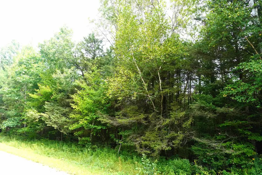 N-20 Acres RANGELINE ROAD, Deerbrook, WI 54424 - #3