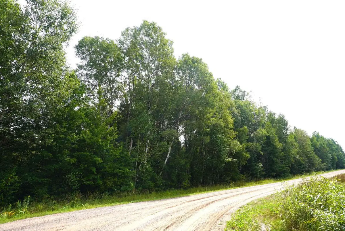 20 Acres N RANGELINE ROAD, Deerbrook, WI 54424 - #1