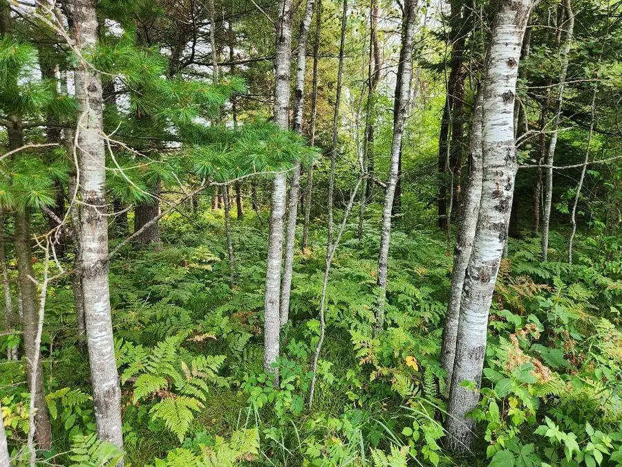 On GRAND PINES DRIVE #Lot 3, Tomahawk, WI 54487 - #2