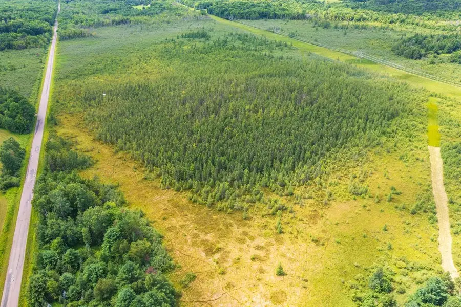40 acres SHOREY AVENUE, Weston, WI 54476 - #2