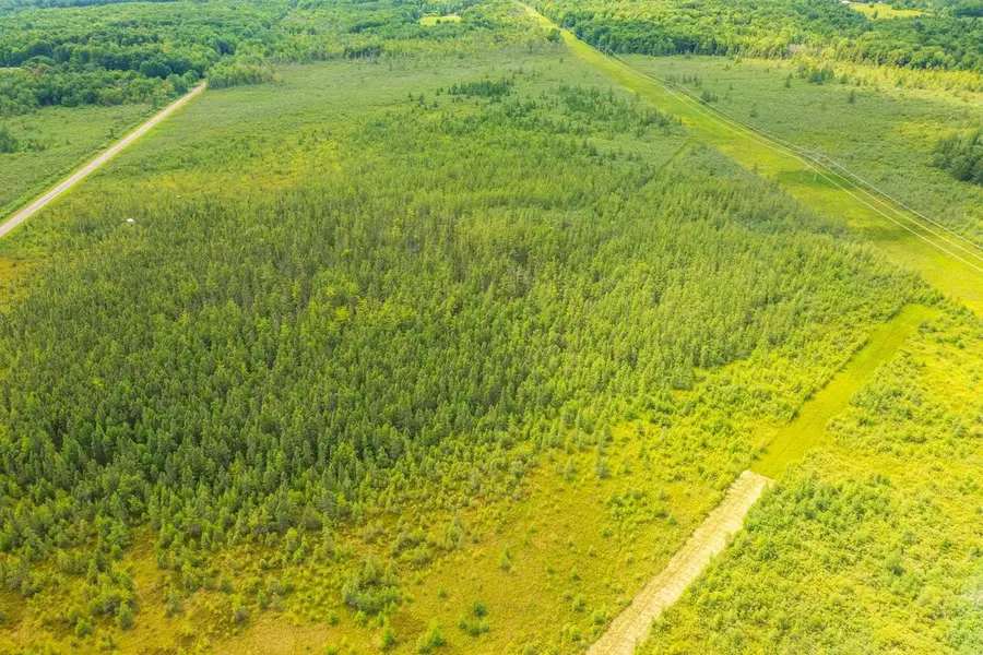 40 acres SHOREY AVENUE, Weston, WI 54476 - #3